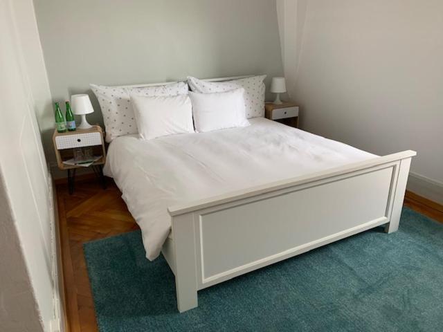 ציריך Guest House Dieci Allo Zoo מראה חיצוני תמונה