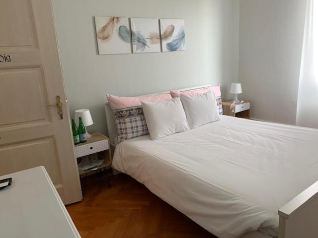 ציריך Guest House Dieci Allo Zoo מראה חיצוני תמונה